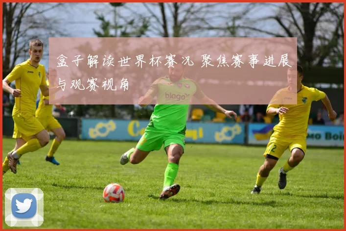 盒子解读世界杯赛况 聚焦赛事进展与观赛视角