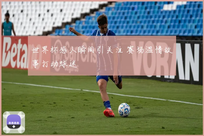 世界杯感人瞬间引关注 赛场温情故事打动球迷