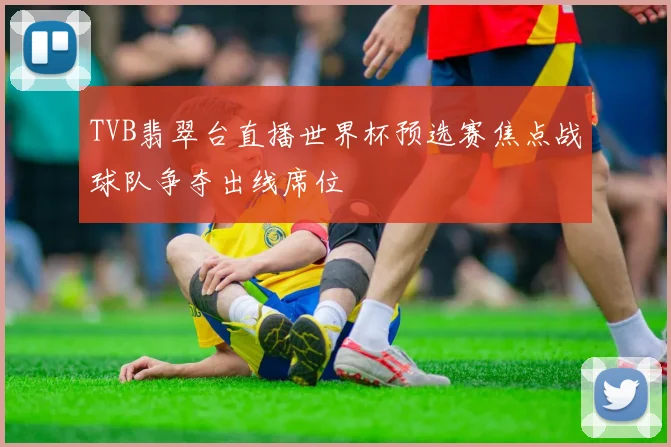 TVB翡翠台直播世界杯预选赛焦点战球队争夺出线席位