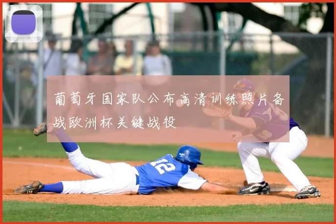 葡萄牙国家队公布高清训练照片备战欧洲杯关键战役