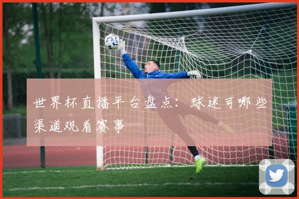 世界杯直播平台盘点:球迷可哪些渠道观看赛事