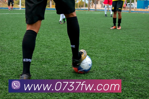 星空体育首页官网服务体系